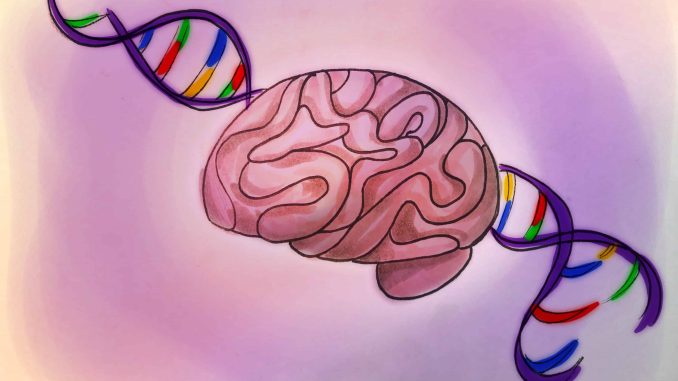 Epilepsy-Genes